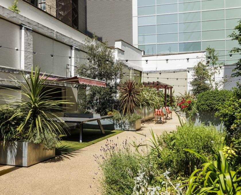 Elm Yard / Courtyard