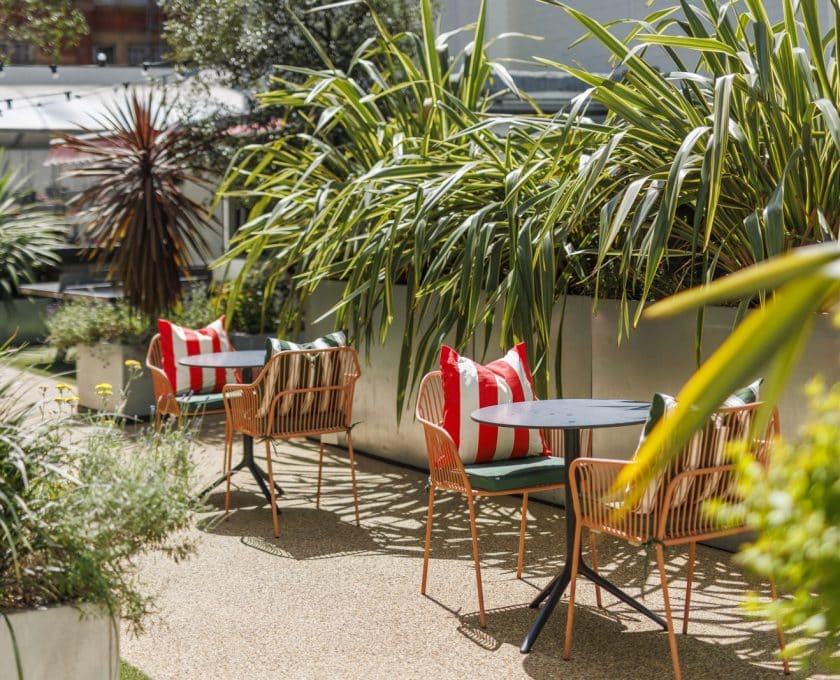 Elm Yard / Courtyard